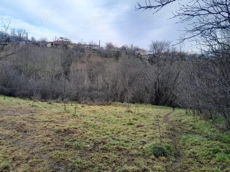 Teren de 2160 mp, în Vârlezi