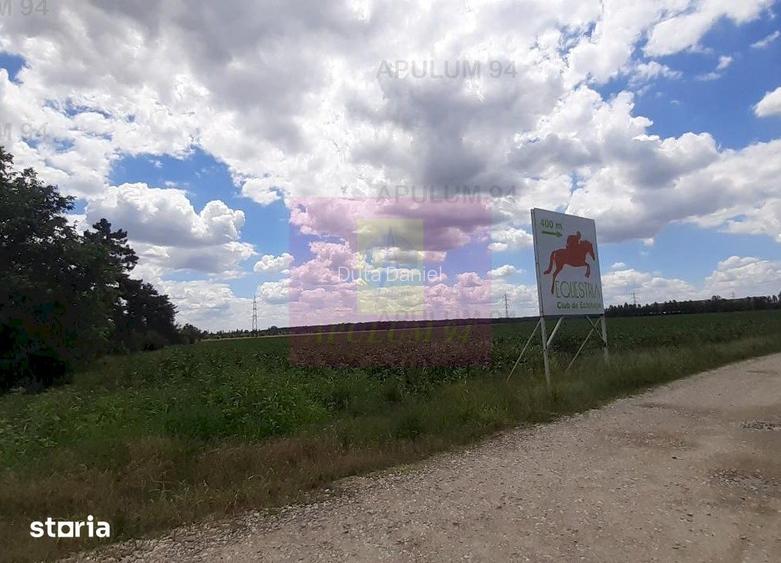 Teren 715mp in Snagov langa Equestria
