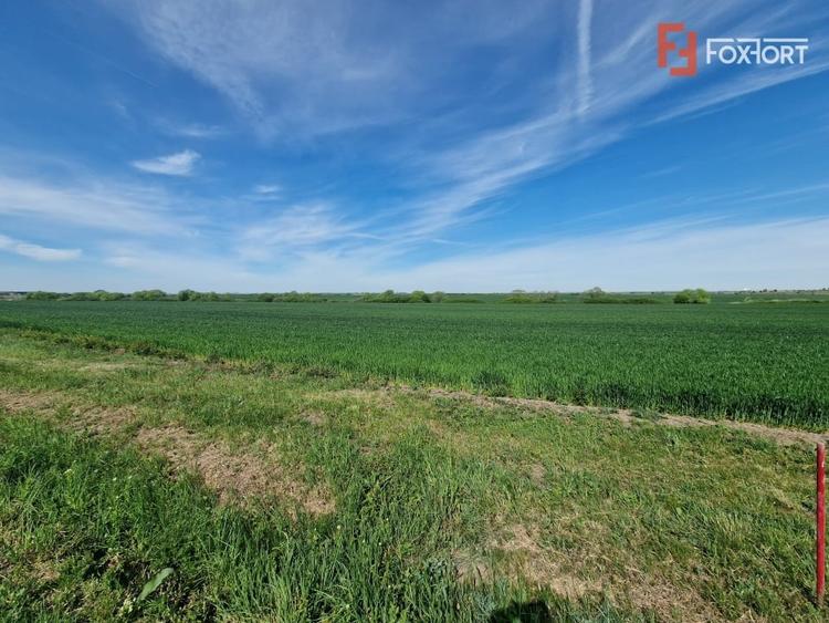 Teren agricol extravilan de 9500 mp, în Remetea Mare