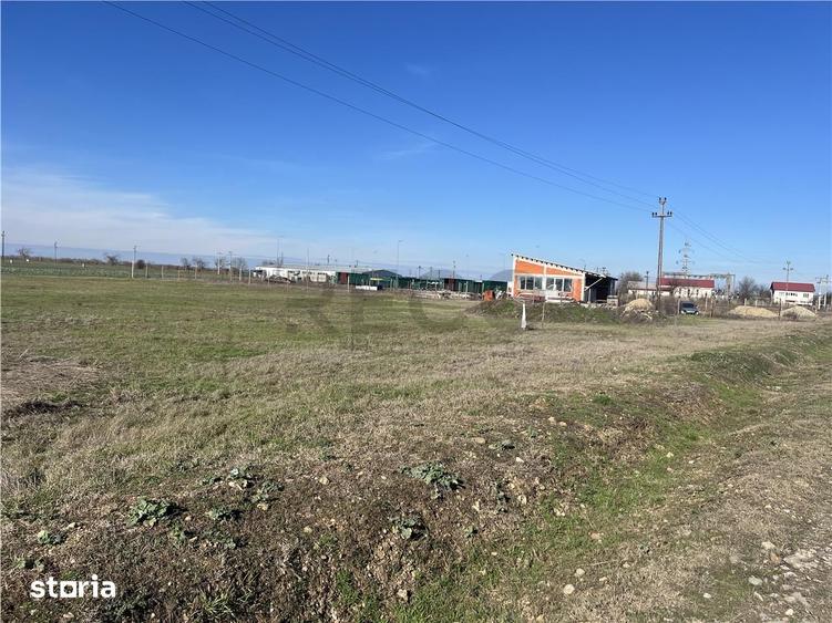 Teren de 5000 mp, în Sântandrei