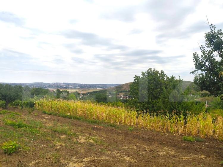 Teren Construcții intravilan de 8841 mp, în Uricani