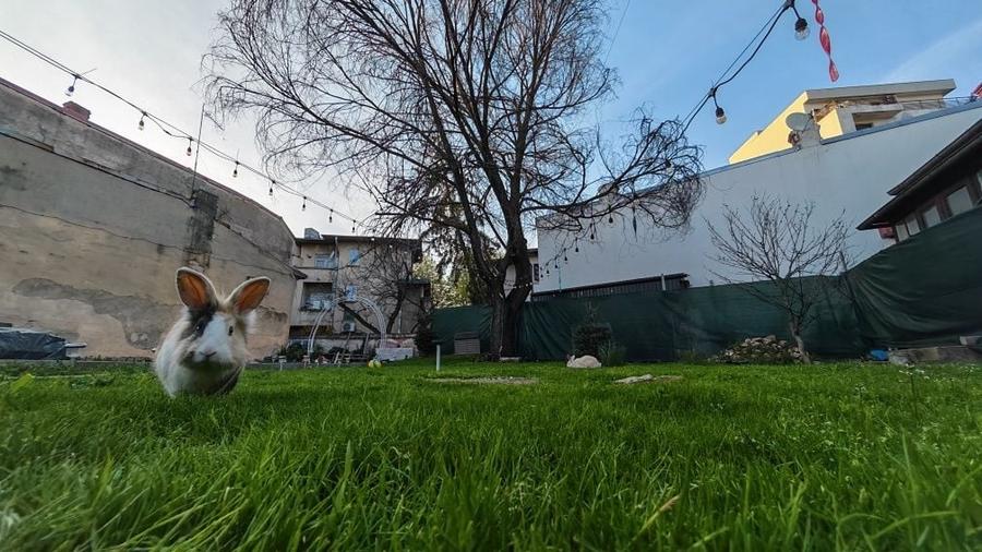 Apartament cu 4 camere semidecomandat în Moșilor