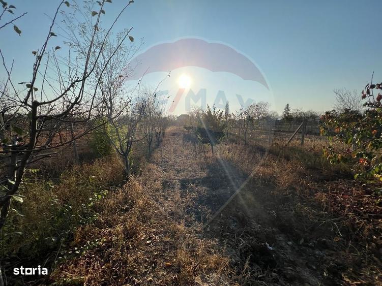 Casă cu 4 camere cu Teren 899 Mp în Grebănu