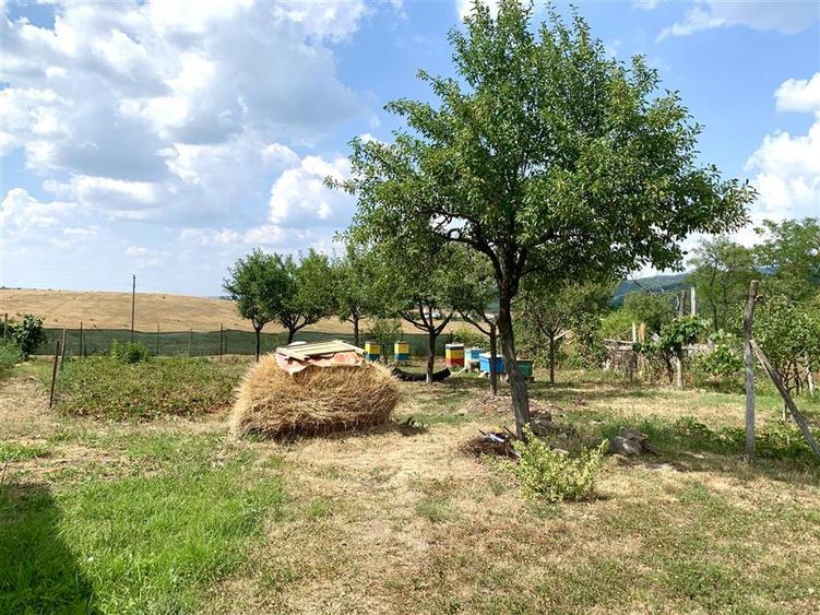 Casă individuală cu 3 camere cu Teren 1100 Mp în Brusturi