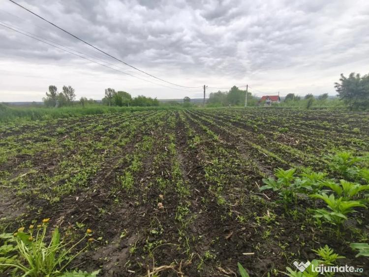 Casă cu 2 camere cu Teren 1600 Mp în Grămești