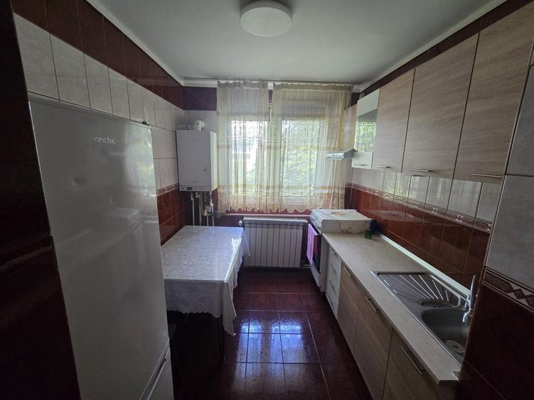 Apartament cu 2 camere semidecomandat în Sârbi