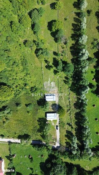 Vanzare Teren | 3.300 MP | Valea Doftanei - 9