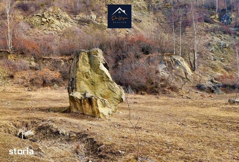 Teren de 18500 mp, în Siriu
