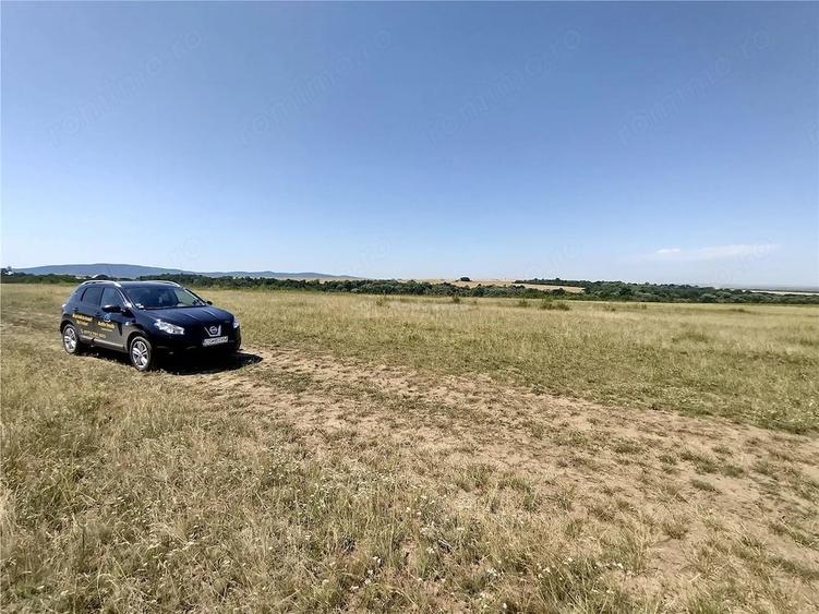 Teren de 14500 mp, în Nicolinț