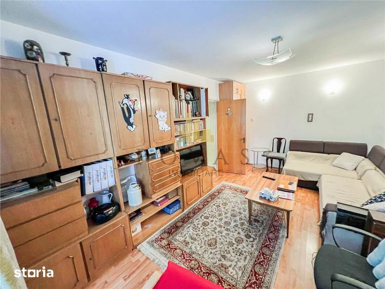 Vanzare Apartament 2 Camere Tineretului - 12