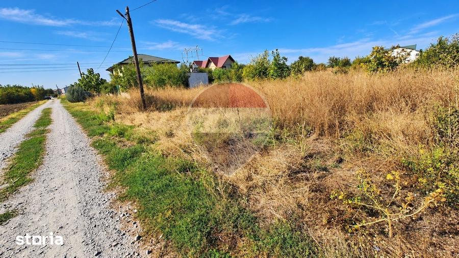 Teren de 1000 mp, în Frumușani