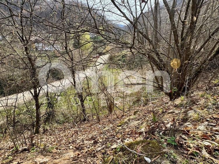 Teren agricol intravilan de 637 mp, în Ulmoasa