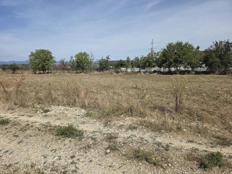 Teren de 330 mp, în Central