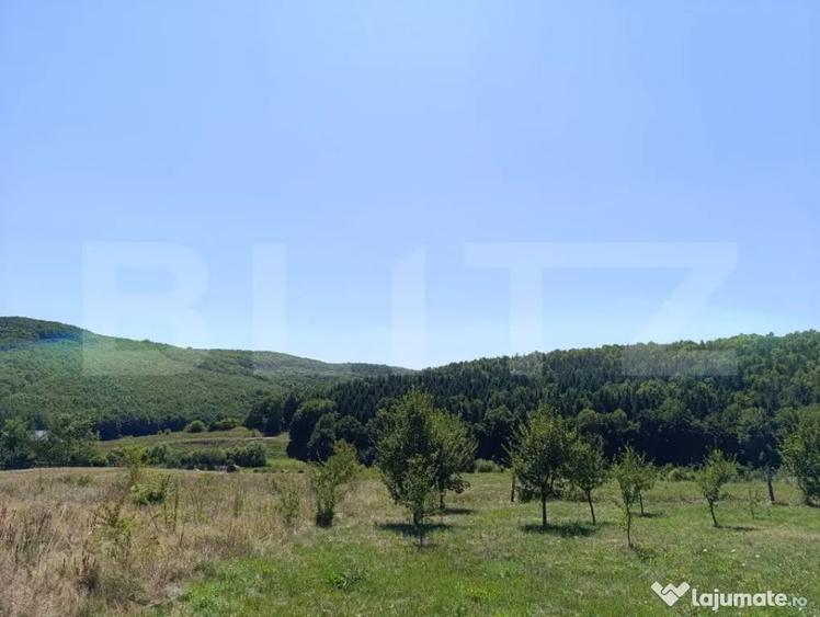 Teren 10200mp , toate utilitatile , la 10 km de DEJ - 3
