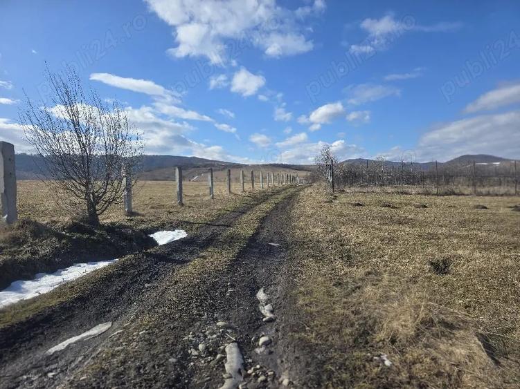 Teren de 3600 mp, în Central