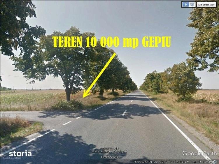Teren de 10000 mp, în Gepiu