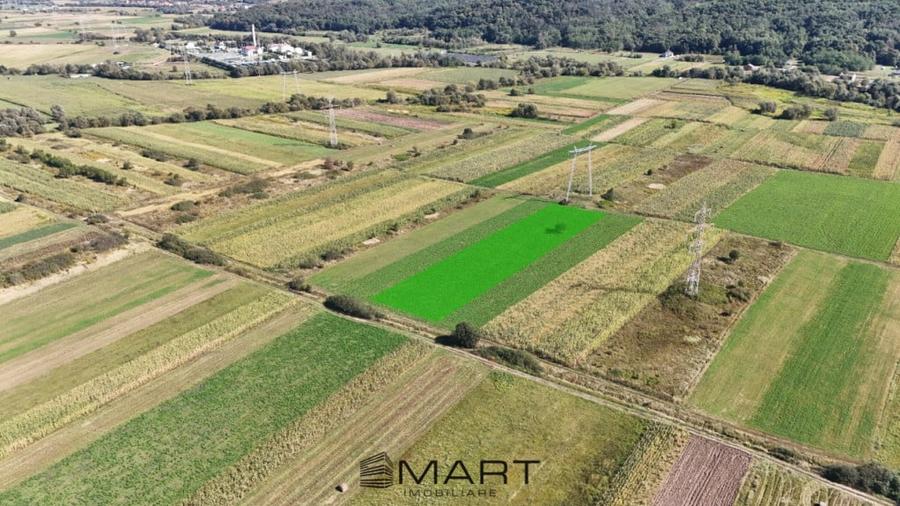 Teren de 5000 mp, în Șelimbăr