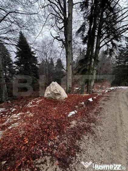 Teren de 4000 mp, în Calea Moroieni