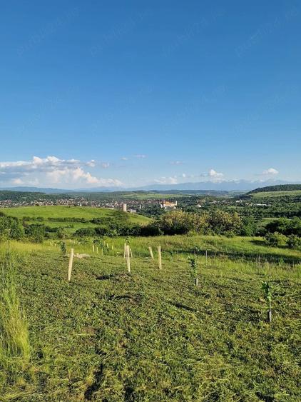 Teren de 1500 mp, în Central