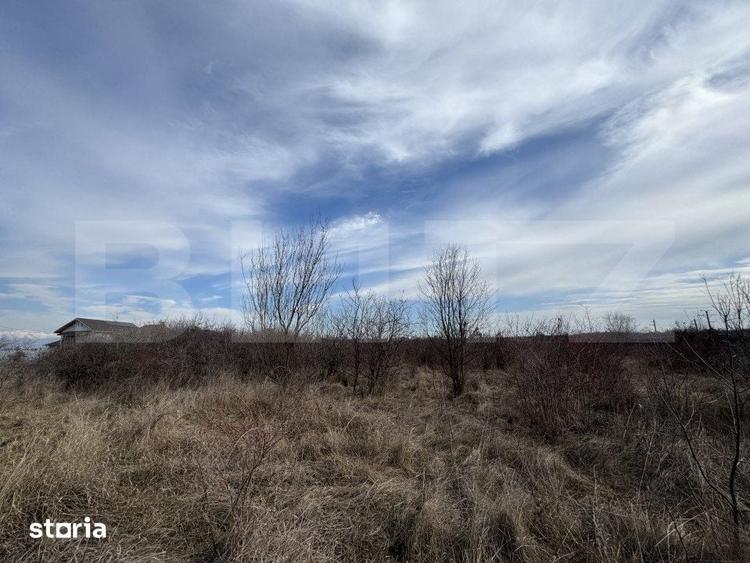 Teren extravilan de vanzare, 15.000 mp, zona Narcise II - 1