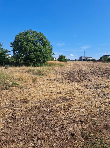 Teren Construcții intravilan de 364 mp, în Lazu