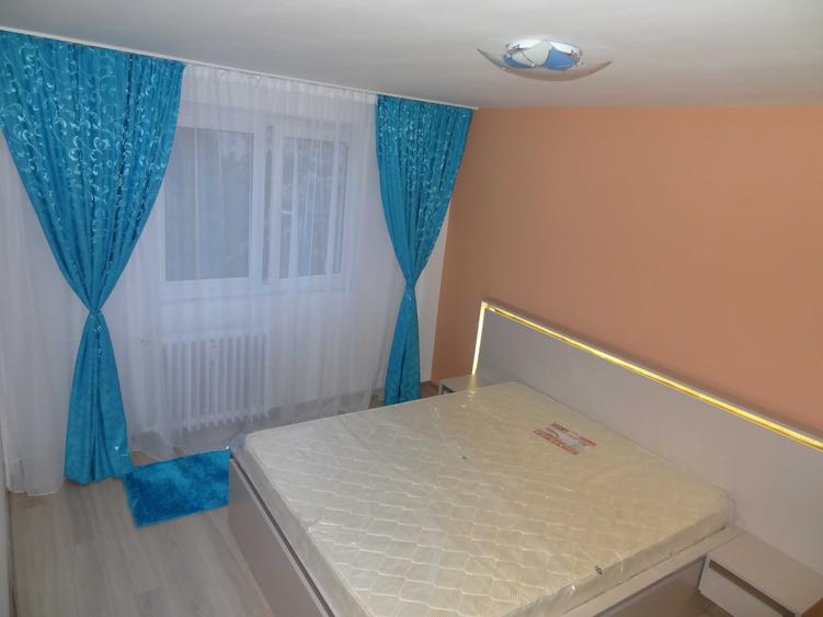 P-ta Victoriei, 2 camere, renovat, bloc izolat - 10