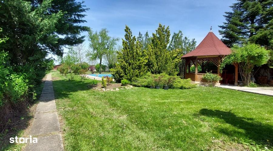 Vanzare vila cu piscina Snagov - Ciofliceni, teren 2649mp - 9