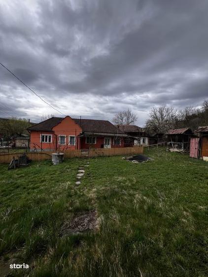 Vand casa la tara - 2