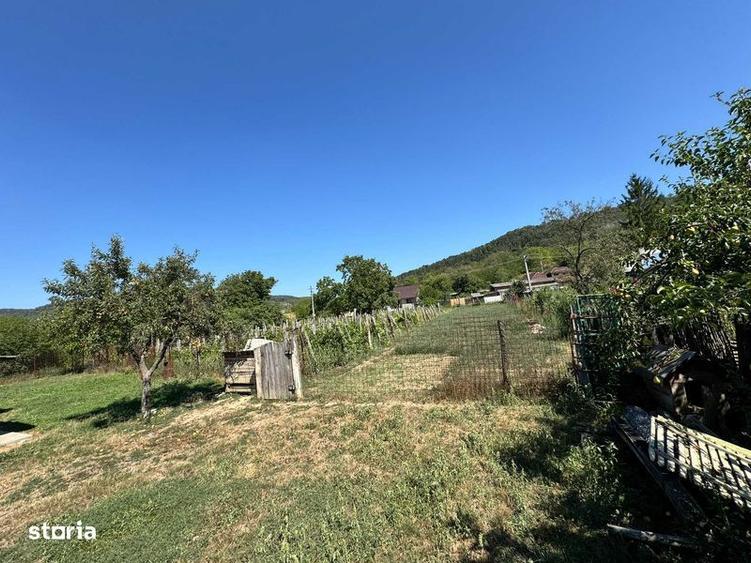 Teren de 1300 mp, în Tamași