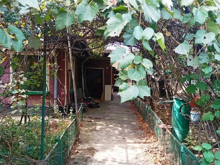 Casa cu teren generos langa ?oseaua Colentina - 3