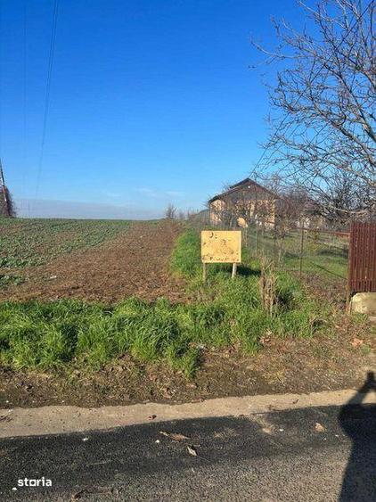 Teren de 5000 mp, în Glina