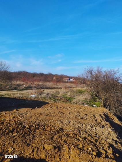 Teren de 1169 mp, în Cernica