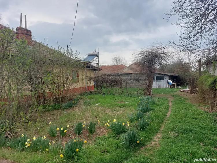 Teren de 7400 mp, în Fierbinți-Târg
