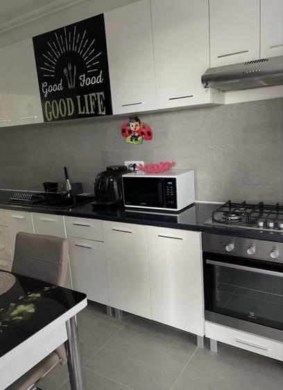 Apartament 2 camere de vanzare Lujerului - 6