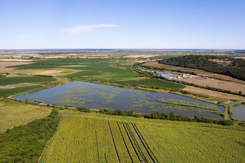 Teren extravilan de 66500 mp, în Exterior Sud