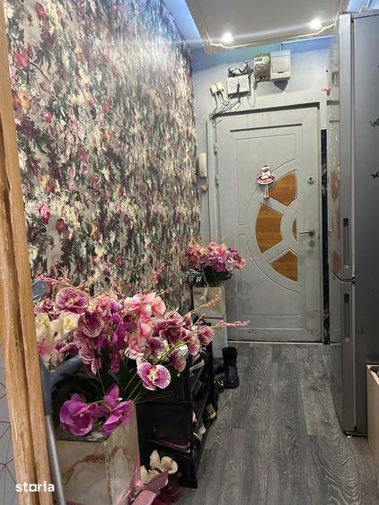 Apartament 2 camere | Parter | Nufarul Tip Z | 58.900 - 3