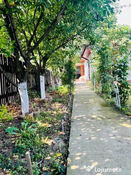 Casă cu 2 camere în Bălăceanca