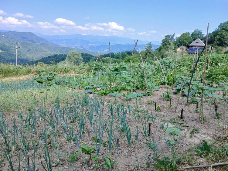 Casă cu 3 camere în Vâlcani