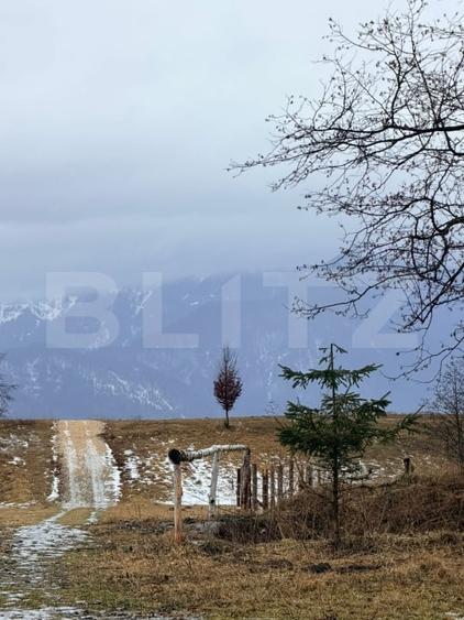 Teren agricol extravilan de 80000 mp, în Glăjărie