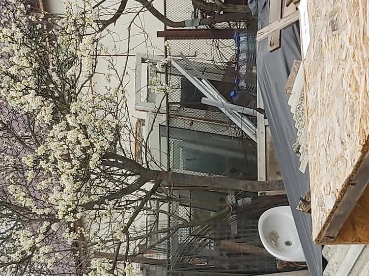 Casă cu Teren 1440 Mp în Central