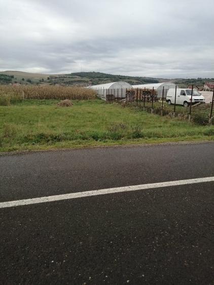 Teren Construcții intravilan de 1706 mp, în Sud-Vest