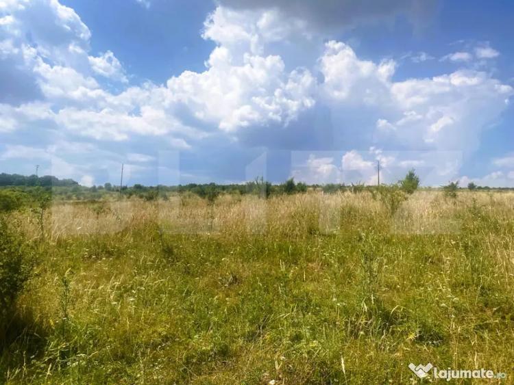 Teren de 1100 mp, în Ciurila