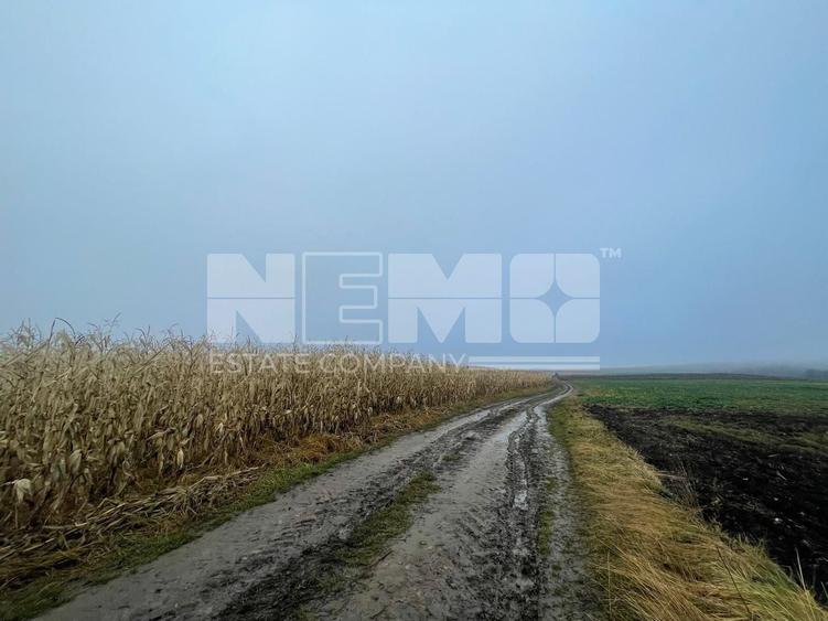 Teren agricol extravilan de 28400 mp, în Dărmănești