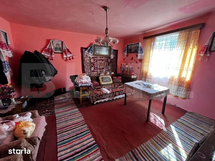 Casă cu 3 camere cu Teren 2500 Mp în Mihai Viteazu