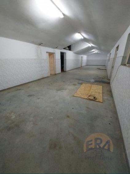 Spațiu industrial, de 1,800 mp, în Ineu