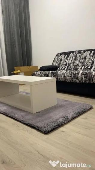 Inchiriere apartament cu 2 camere in zona Brancoveanu - Bucuresti (Bucuresti-Ilfov) - 7