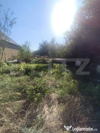 TEREN INTRAVILAN DE VANZARE - LUNCA MURESULUI 700 MP - 4