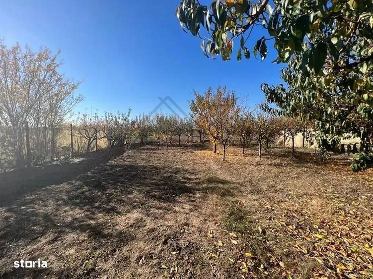 VANZARE CASA P+M PREDESTI PRAHOVA TEREN 1200 MP TOATE UTILITATILE - 7