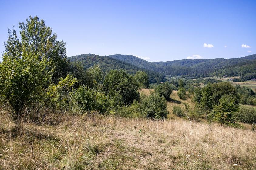 Teren extravilan de 4200 mp, în Vulcan