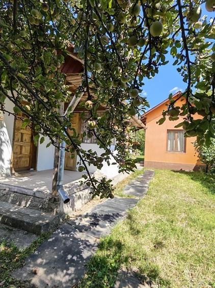 Casă cu 3 camere în Central